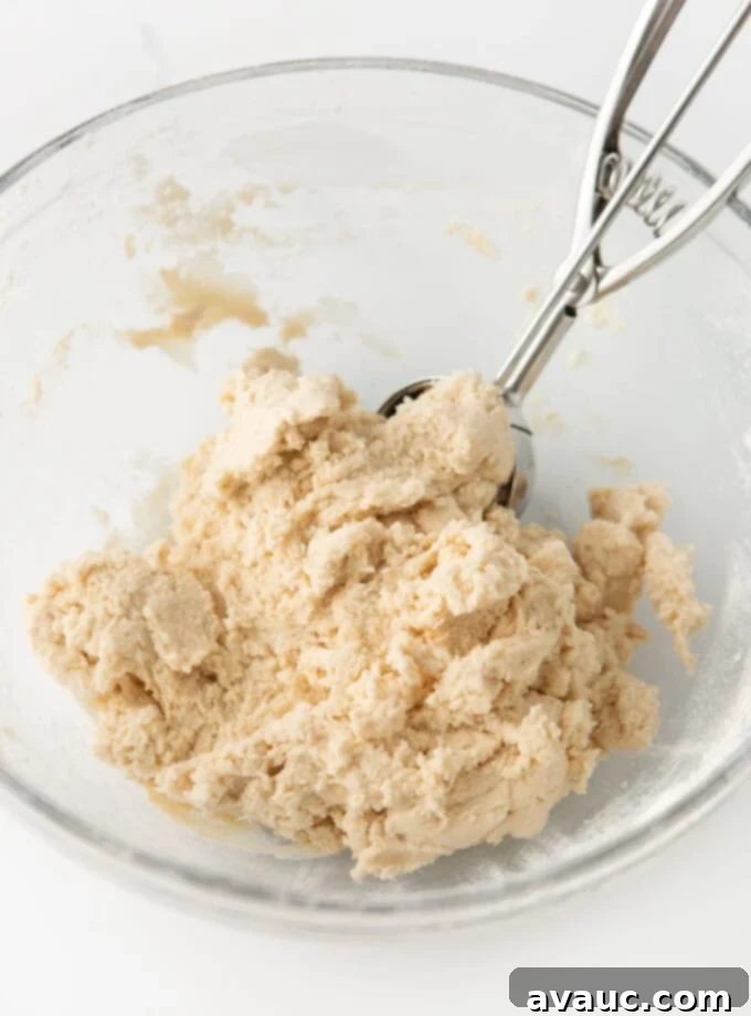 Plant-Powered Sugar Cookies 5 bowl of dairy free sugar cookie dough