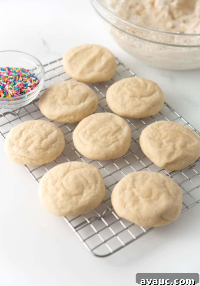 Plant-Powered Sugar Cookies 8 baked dairy free sugar cookies on wire rack