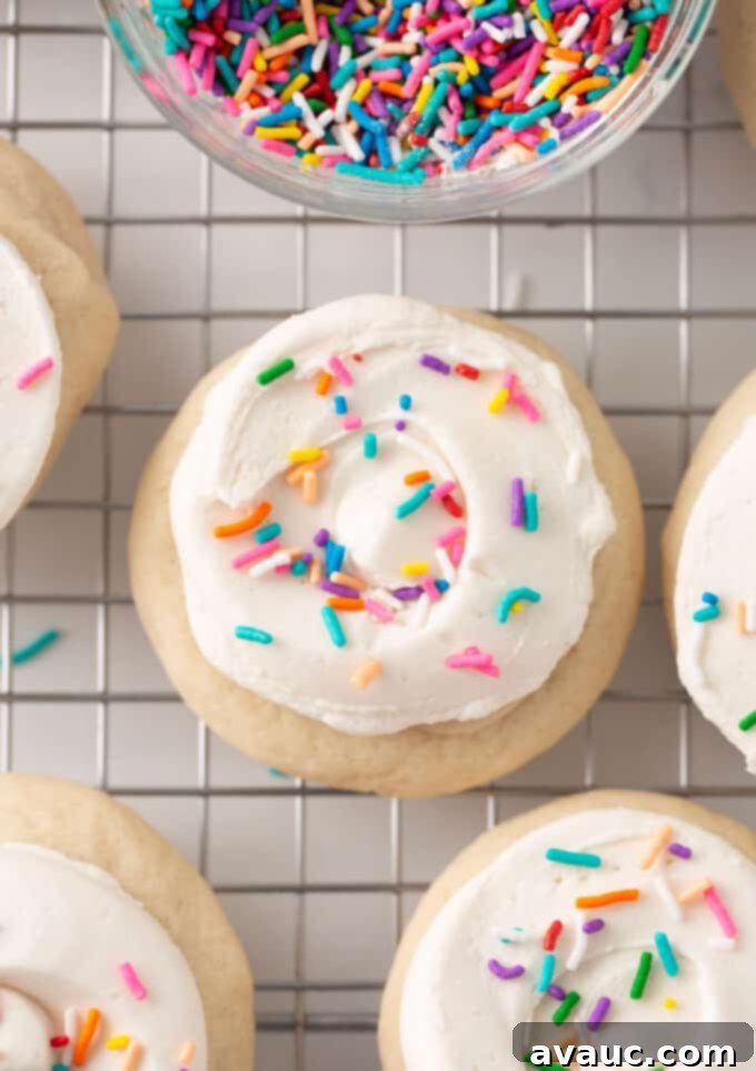 Plant-Powered Sugar Cookies 9 frosted dairy free sugar cookie