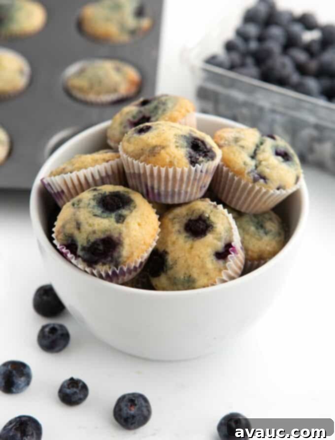 Bite-Sized Blueberry Muffins 2 bowl of freshly baked mini blueberry muffins, golden brown and fluffy