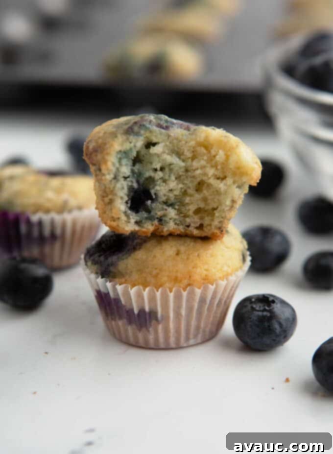 Bite-Sized Blueberry Muffins 3 stack of fluffy mini blueberry muffins on a white plate