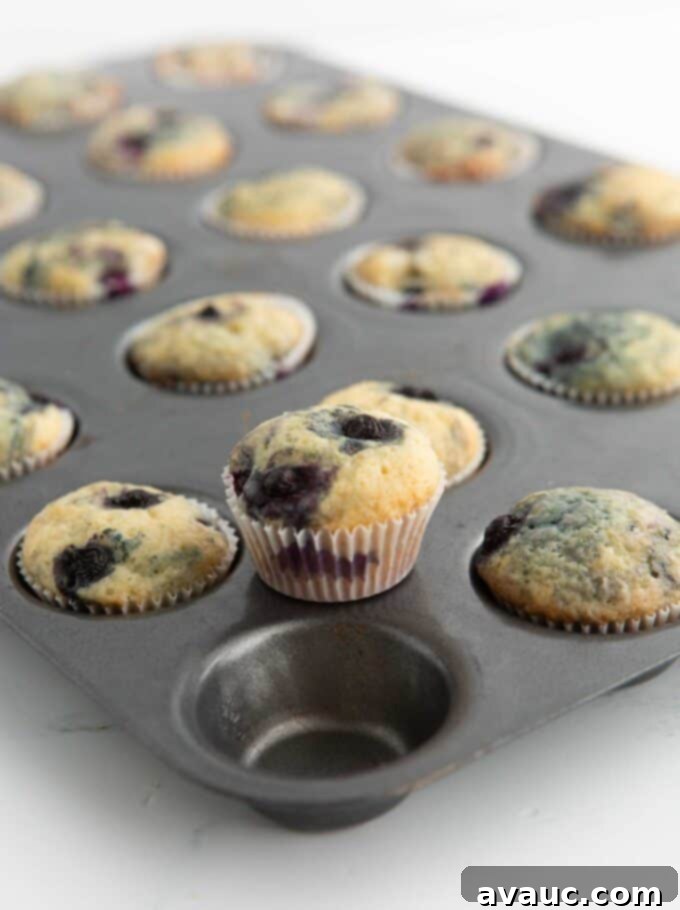Bite-Sized Blueberry Muffins 9 freshly baked mini blueberry muffins in the muffin pan on a cooling rack