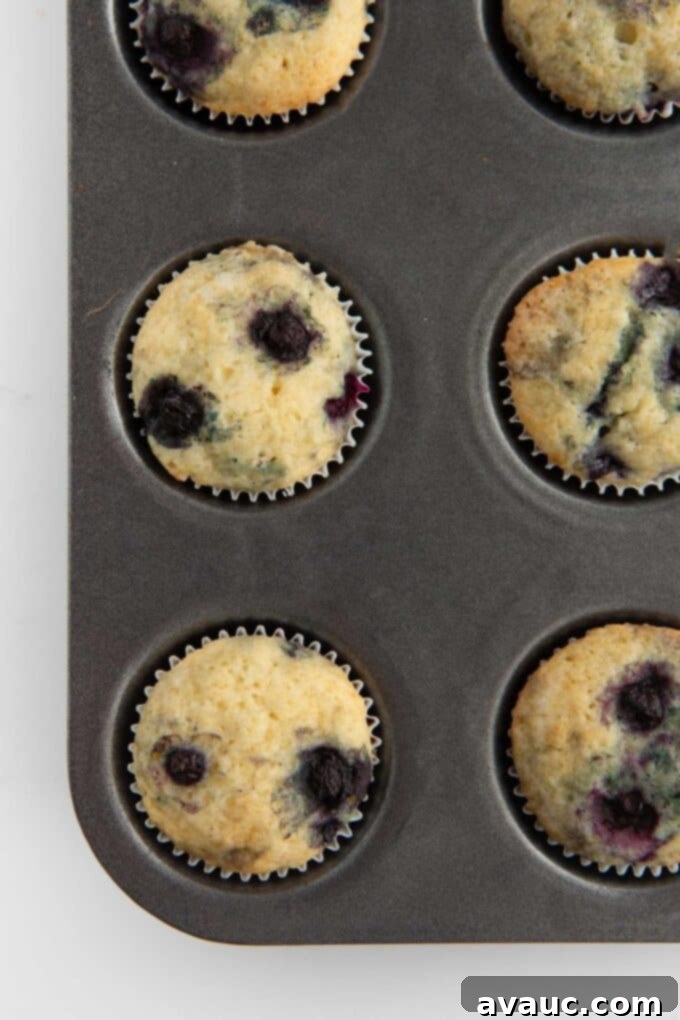 Bite-Sized Blueberry Muffins 10 pan of mini blueberry muffins arranged neatly