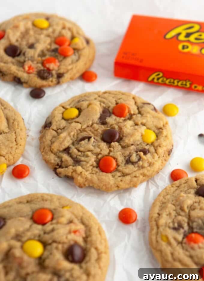 Chewy Reese's Pieces Perfection 3 close-up of a chewy reeses pieces cookie