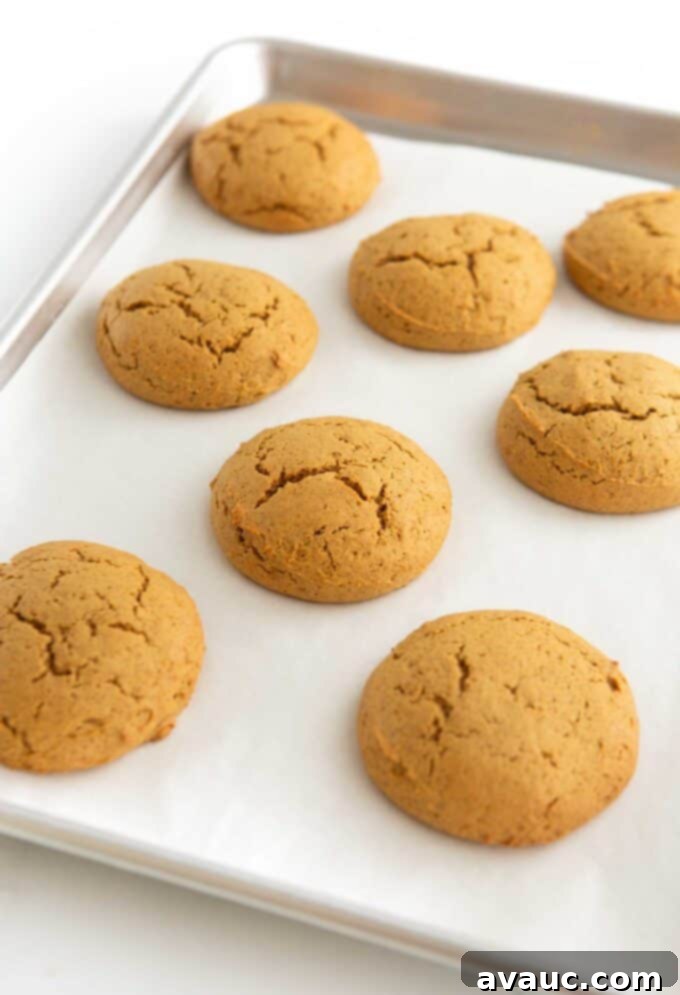 Velvet Autumn Pumpkin Treats 7 soft pumpkin cookies baked on cookie sheet
