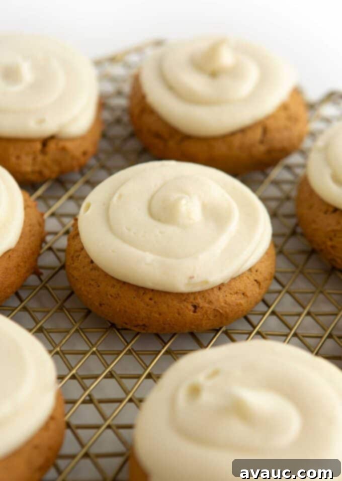 Velvet Autumn Pumpkin Treats 10 frosted fluffy pumpkin cookies