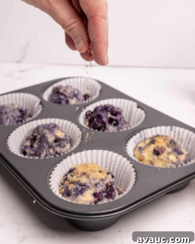 Hand sprinkling turbinado sugar on top of blueberry muffins before baking.