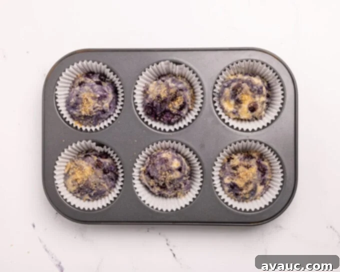 Overhead view of a jumbo blueberry muffin pan filled with batter and sprinkled with sugar, ready for the oven.