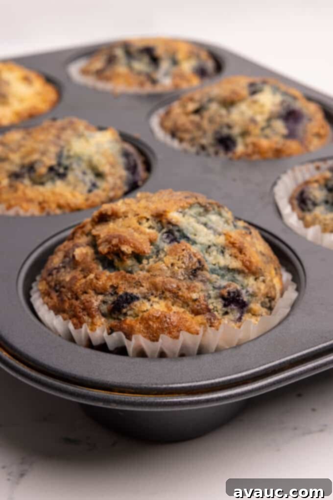 Freshly baked jumbo blueberry muffins cooling on a wire rack, with golden tops.