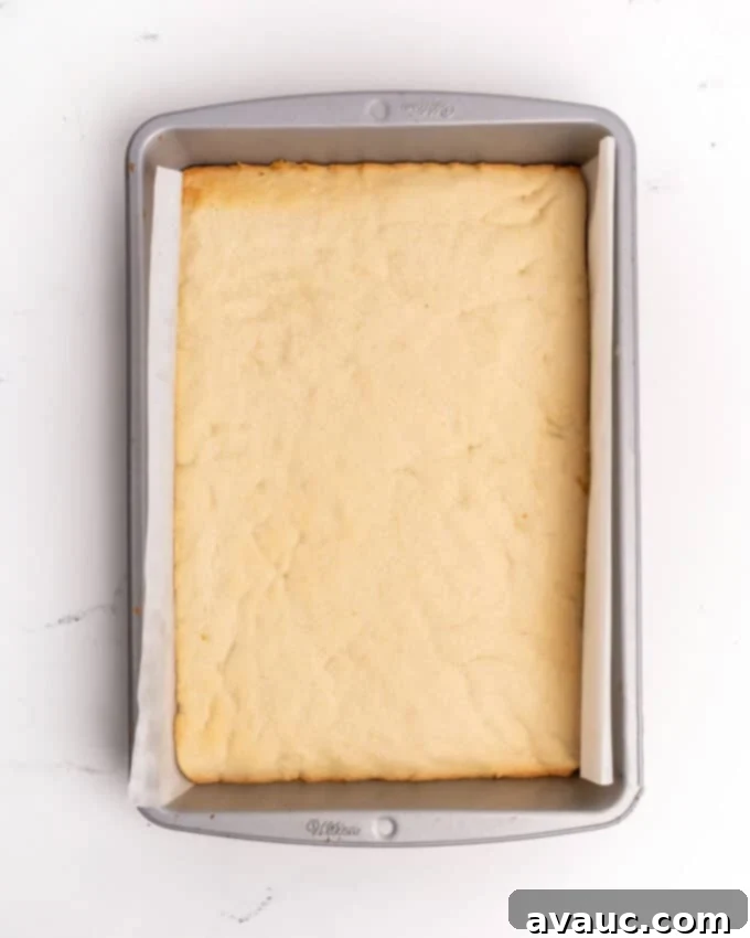 9x13 pan of unfrosted sugar cookie bars