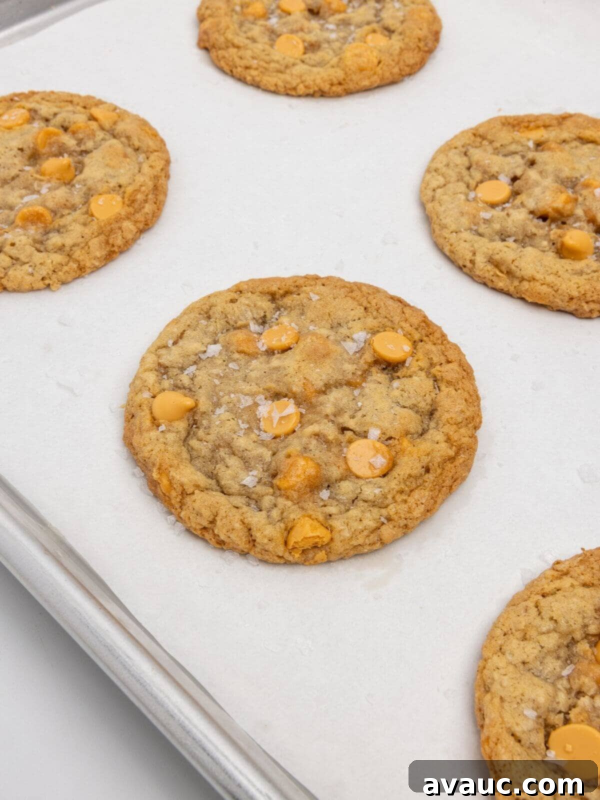 Homemade Chewy Oatmeal Scotchies 2 baked oatmeal scotchie cookies on parchment-lined baking sheet