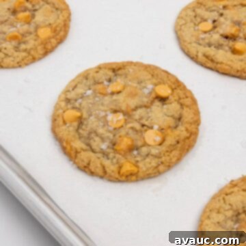 Homemade Chewy Oatmeal Scotchies 10 upclose shot of baked oatmeal scotchie on parchment-lined baking sheet