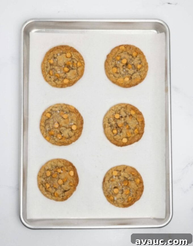 Homemade Chewy Oatmeal Scotchies 7 baked oatmeal scotchies on baking sheet