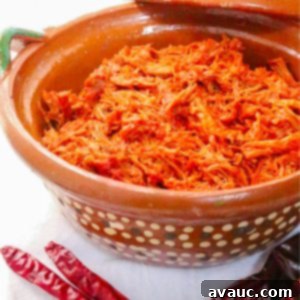 Side view of a Mexican pot with chile colorado with pork