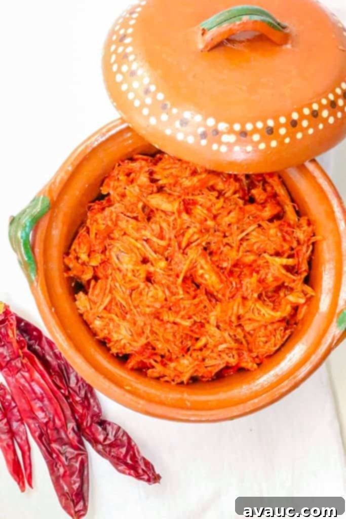 Top view of a Mexican pot with pork chile colorado, garnished and ready to be served