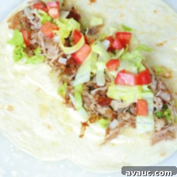 Ultimate Pork & Avocado Burritos 6 Everyday Shredded Pork and Avocado Burritos