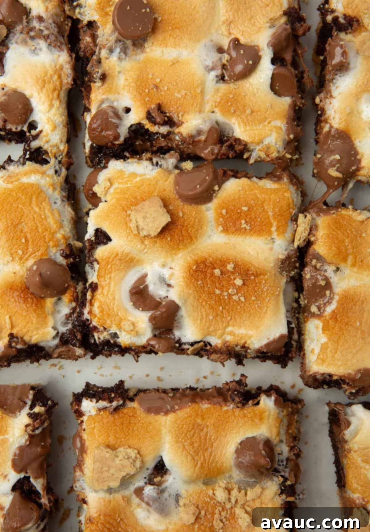 S'mores Brownies 3 Close-up of a perfectly baked s'mores brownie with a bite taken out, revealing the gooey interior.