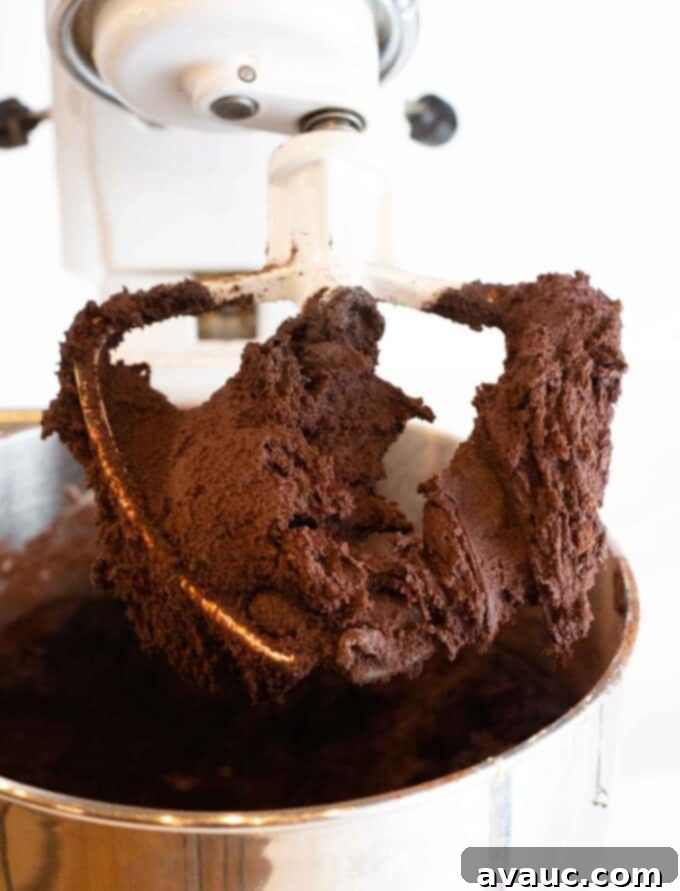 No-Fuss Dirt Cookie Bars 6 Thick chocolate cookie dough on a KitchenAid paddle attachment, ready for baking