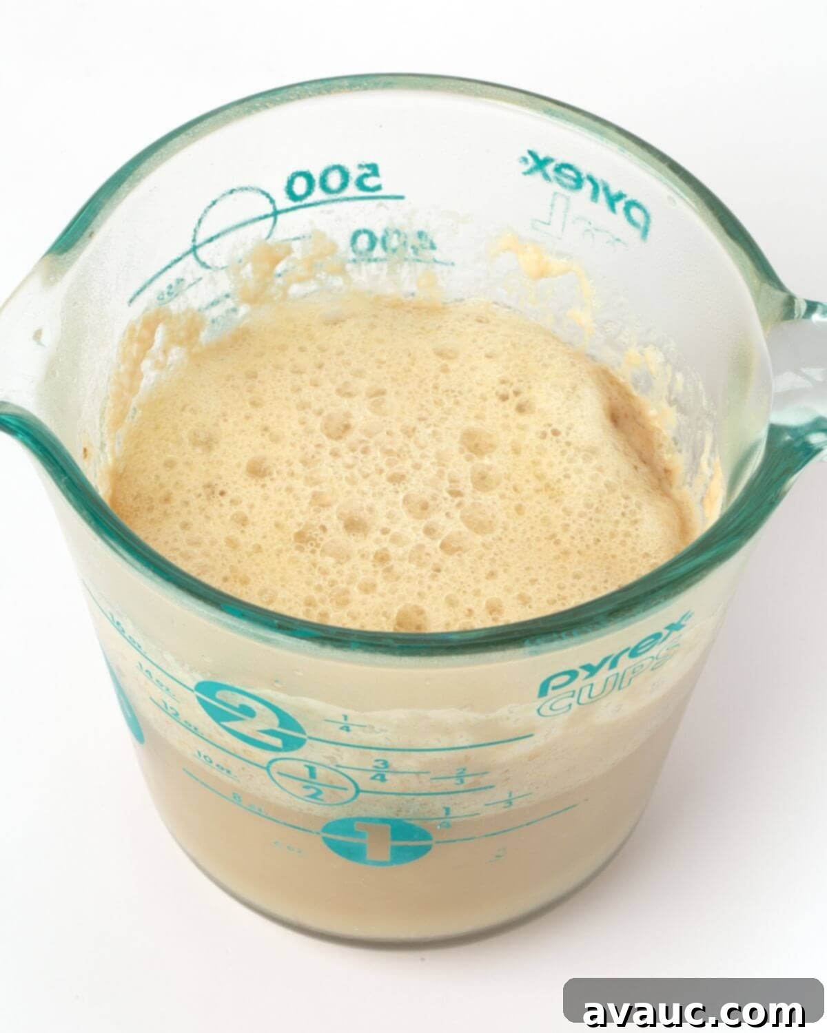 Yeast, water, and brown sugar mixture in a glass measuring cup, showing a foamy layer after activation.