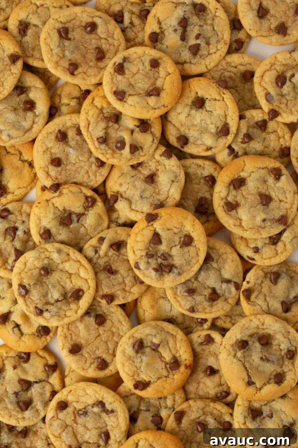 Bite-Sized Chocolate Chip Cookies 2 mini chocolate chip cookies