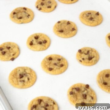 Bite-Sized Chocolate Chip Cookies 10 mini chocolate chip cookies on baking sheet lined with parchment paper
