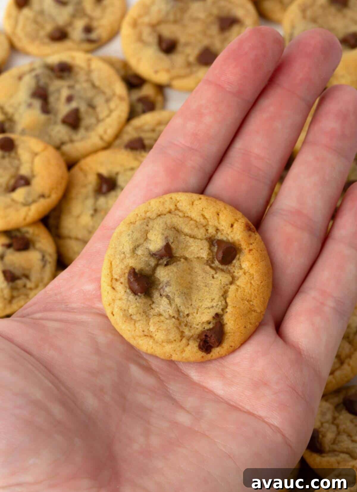 Bite-Sized Chocolate Chip Cookies 3 mini chocolate chip cookie in hand
