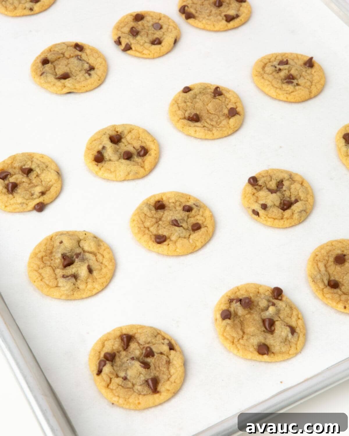 Bite-Sized Chocolate Chip Cookies 8 mini chocolate chip cookies on tray