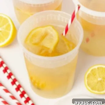 Summer Fair Squeeze 11 state fair lemonade in plastic container with striped straw