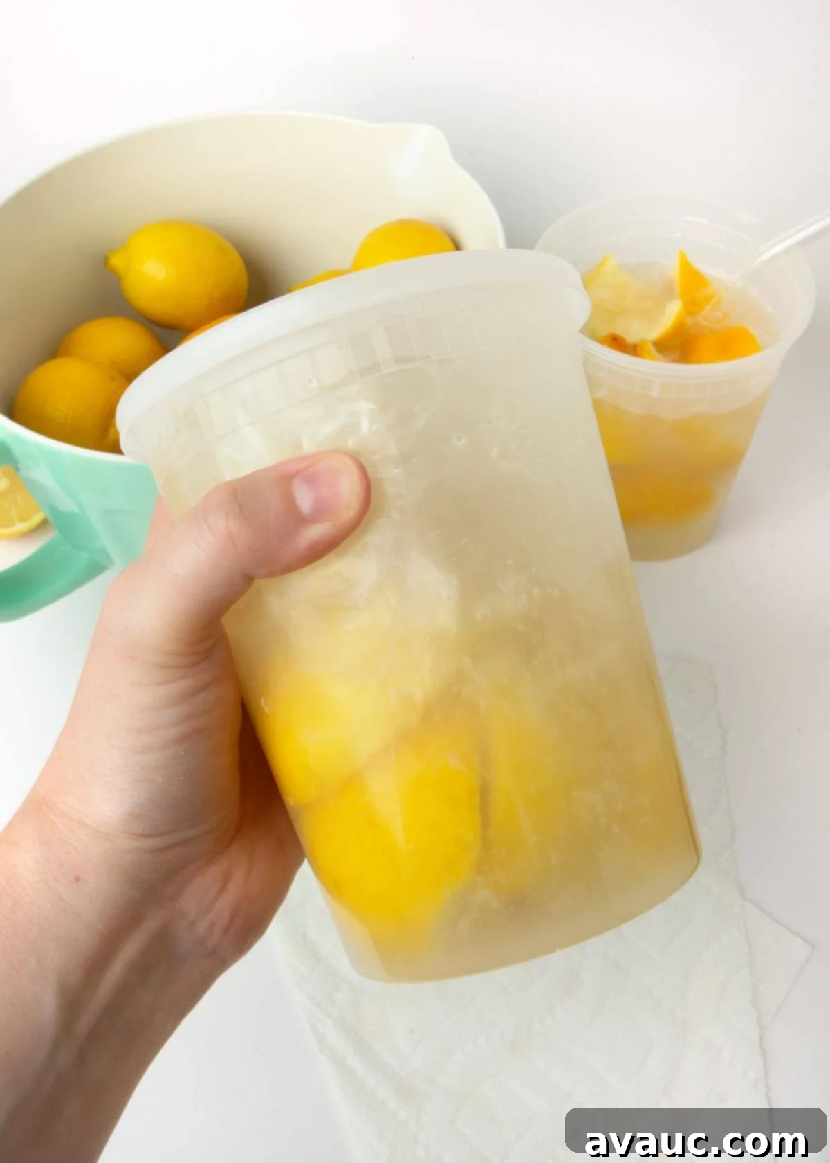 Summer Fair Squeeze 4 plastic container with lemons and water