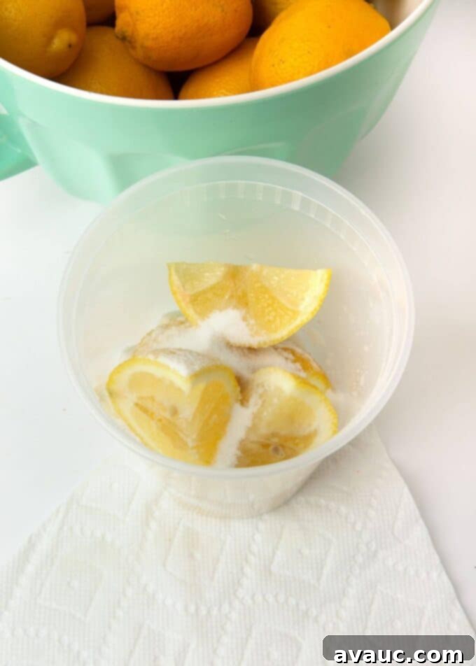 Summer Fair Squeeze 6 lemon slices and sugar in plastic container