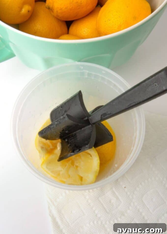 Summer Fair Squeeze 7 lemon slices in plastic container with muddler