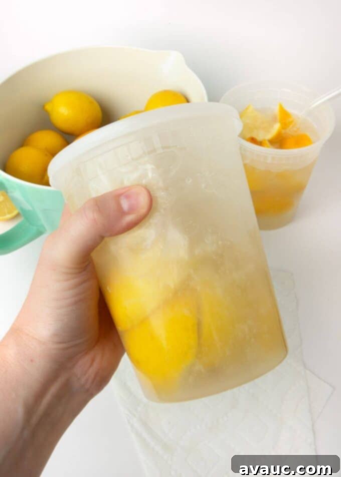 Summer Fair Squeeze 9 water and lemon slices shaken in plastic container