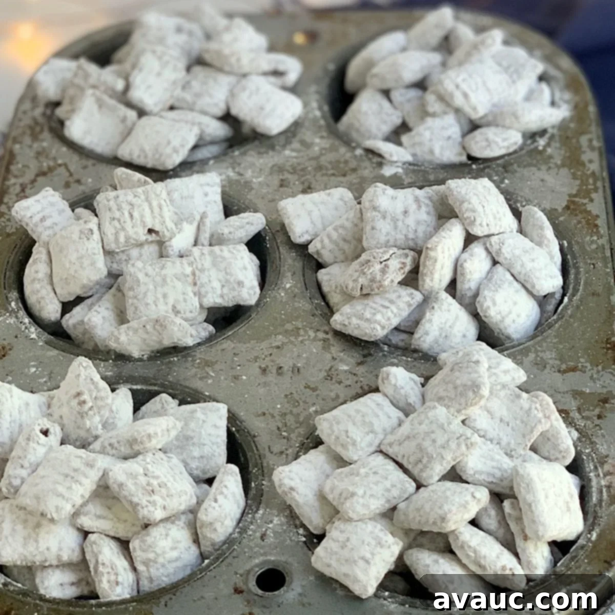 Close up looking at some dairy free puppy chow.