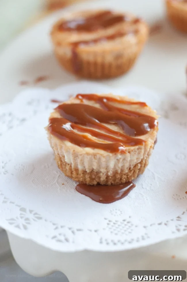 Delicious Mini Caramel Cheesecake Bites ready to be served