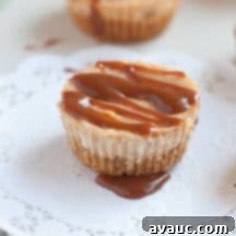 Caramel Cheesecake Minis 6 Mini Caramel Cheesecake Bites overhead shot