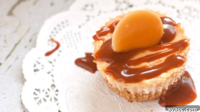 Close-up of golden caramel sauce over mini cheesecakes
