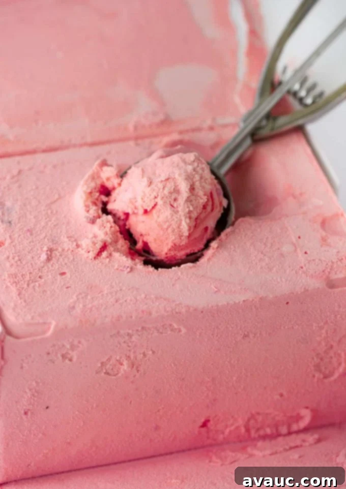 A person scooping creamy raspberry sherbet into a bowl, demonstrating the first step of the punch recipe.