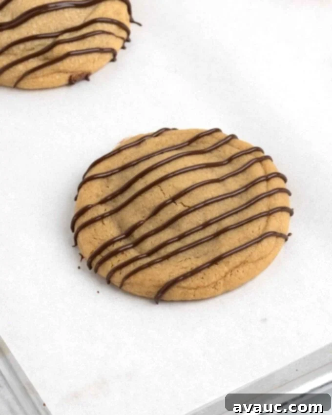 Reese's peanut butter cup cookies drizzled with chocolate