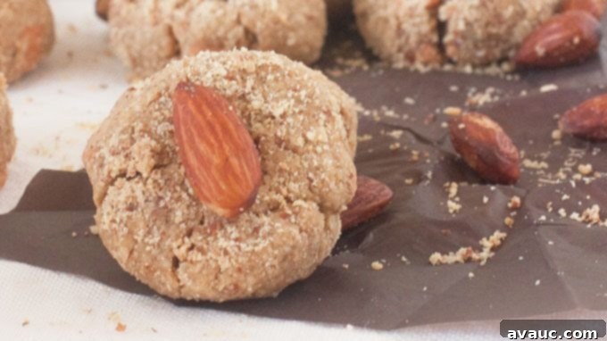 Close-up of a single Peanut Butter Almond Oat Yogurt Bite showing its dense texture