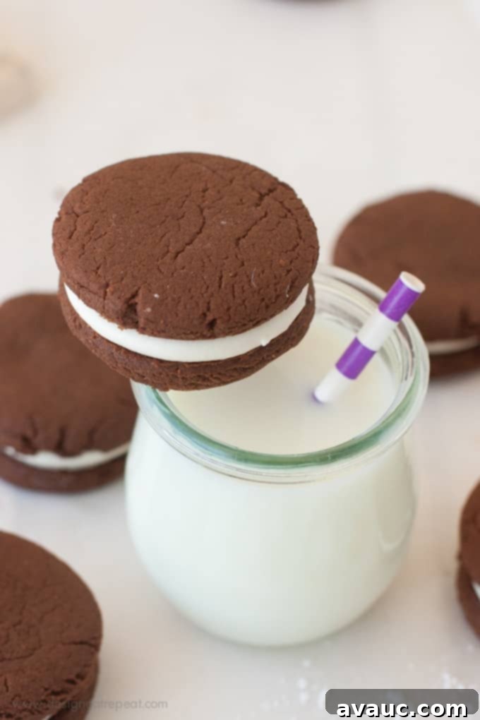 Delicious Chocolate Sandwich Cookies with White Chocolate Creme