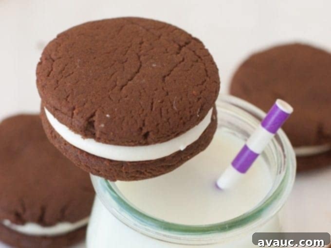 Close-up of a Chocolate Sandwich Cookie with White Chocolate Creme
