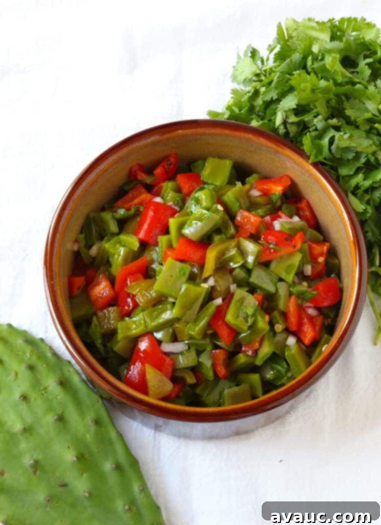 Vibrant Nopalitos and Roasted Red Pepper Salad 2 Nopalitos and Roasted Red Pepper Salad #nopalitos #nopales #nopalitossalad