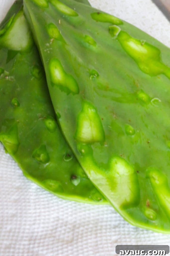 Vibrant Nopalitos and Roasted Red Pepper Salad 3 Nopales peeled and ready to cook #nopales