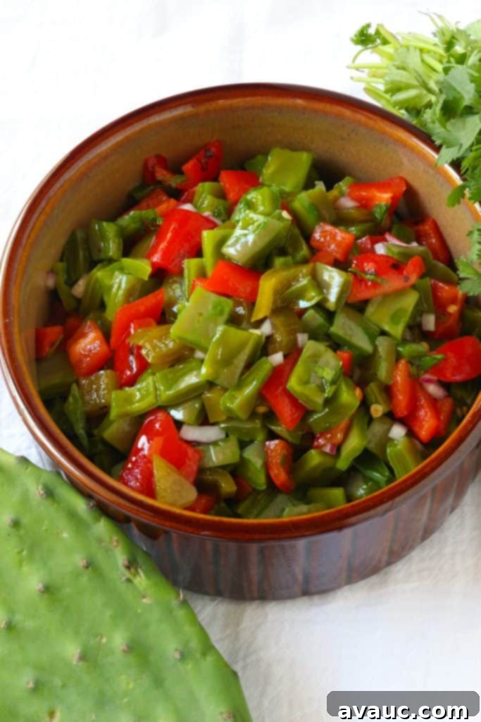 Vibrant Nopalitos and Roasted Red Pepper Salad 5 Nopalitos and Roasted Red Pepper Salad #nopalitos #nopales #nopalitossalad