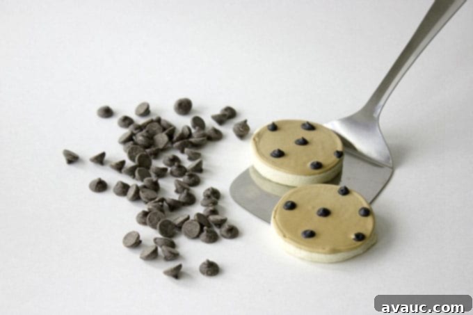 Adorable Sugar Cookies decorated as Chocolate Chip Cookies | by Little Bow Sweets for Design Eat Repeat Blog