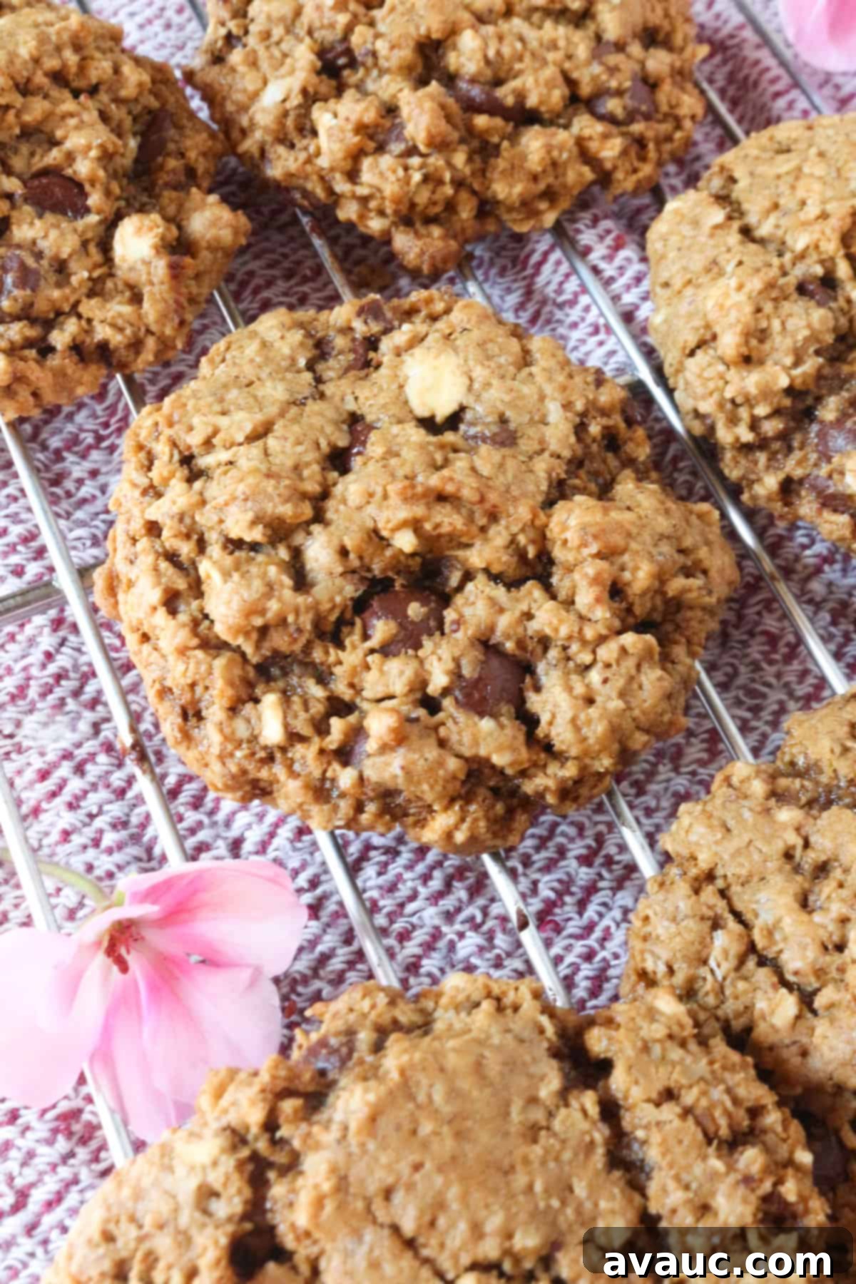 Soft Chewy Vegan Oatmeal Chocolate Chip Cookies 2 Delicious Vegan Oatmeal Chocolate Chip Cookies Cooling on a Wire Rack