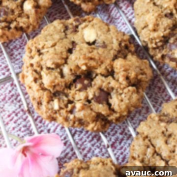 Soft Chewy Vegan Oatmeal Chocolate Chip Cookies 6 Vegan Oatmeal chocolate chip cookies on a wire rack