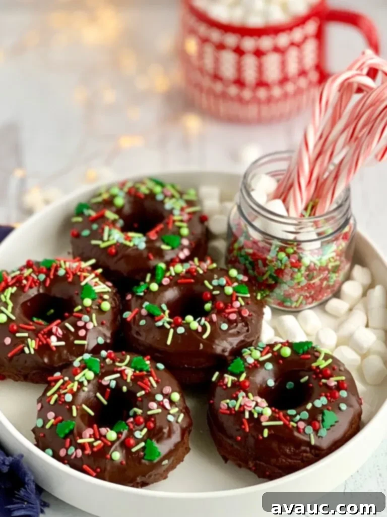 Decadent double chocolate donuts, baked to perfection and adorned with a rich chocolate glaze, ready to be enjoyed.