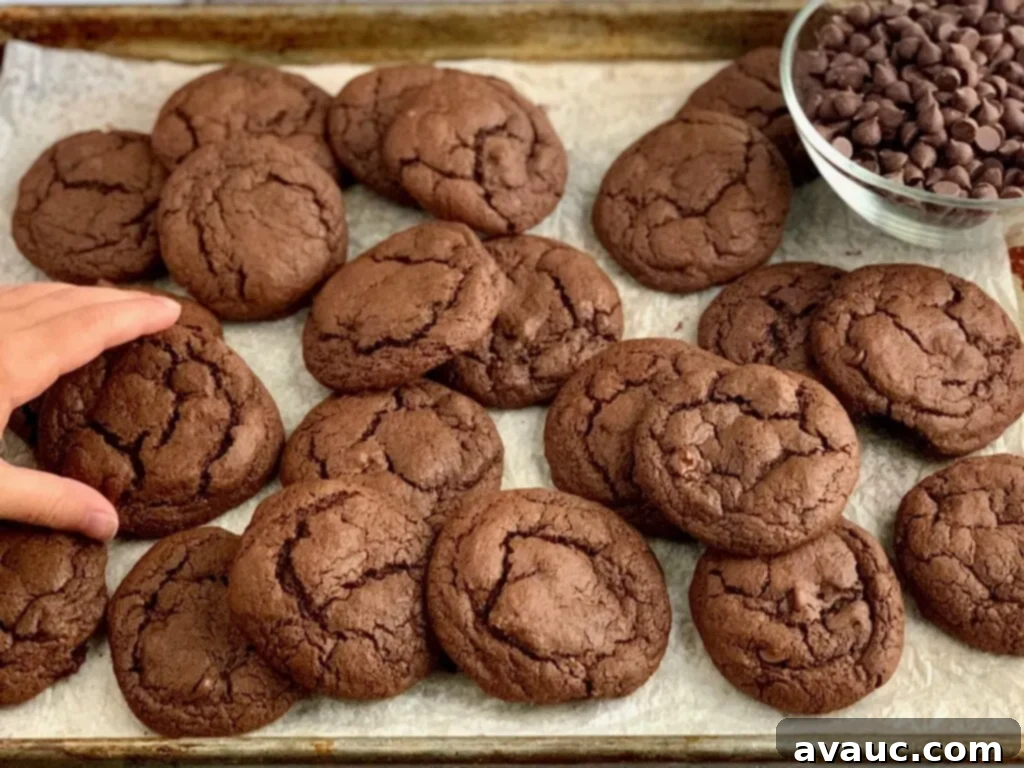 A hand reaching for a soft, fudgy brownie cookie, highlighting its rich texture and appealing crackly crust.