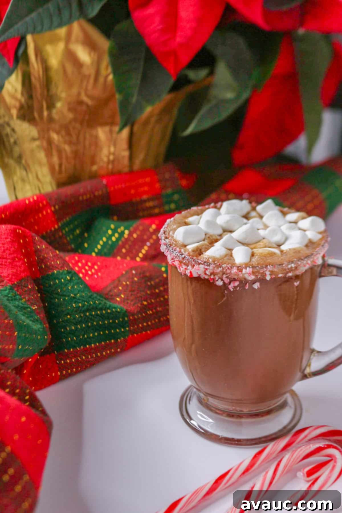 Homemade Plant-Based Peppermint Hot Chocolate 2 Rich and creamy homemade peppermint hot chocolate (dairy-free) in a glass mug garnished with crushed candy cane rim and marshmallows, ready to be enjoyed as a festive vegan treat.